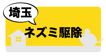 埼玉県のネズミ駆除