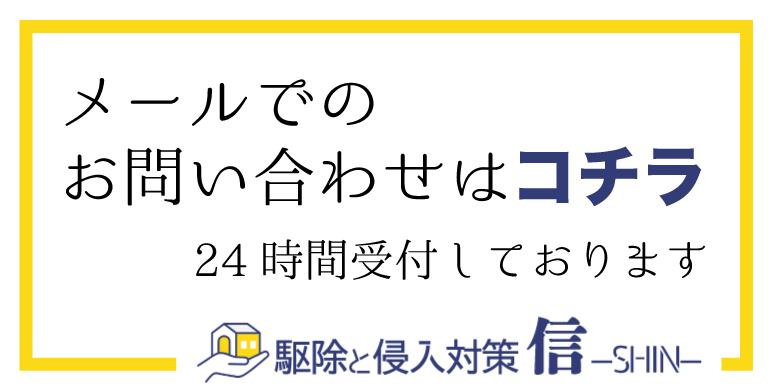 メールで駆除のご相談はこちらへ
