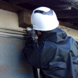 春は要注意！埼玉で増え始める害虫・害獣と今すぐできる対策