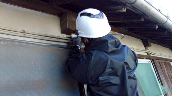 春は要注意！埼玉で増え始める害虫・害獣と今すぐできる対策